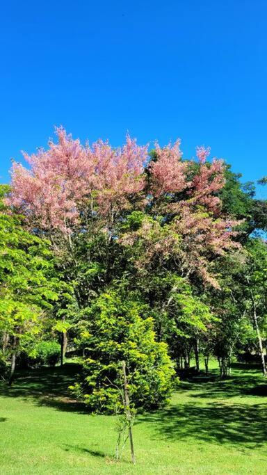 Recanto Dos Beija Flores, Chale Bougainville Монти-Алегри-ду-Сул Экстерьер фото
