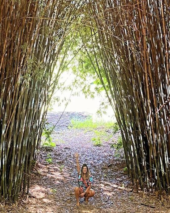 Recanto Dos Beija Flores, Chale Bougainville Монти-Алегри-ду-Сул Экстерьер фото