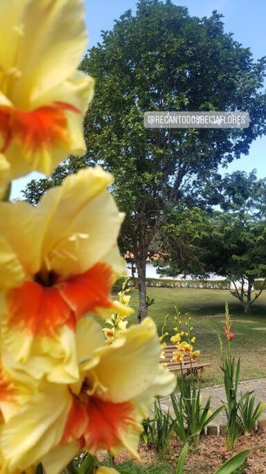 Recanto Dos Beija Flores, Chale Bougainville Монти-Алегри-ду-Сул Экстерьер фото